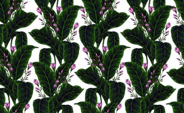 Hawaii bitkilerinin ve ağaçların gouache boyalı yapraklarının kusursuz deseni. Tropikal bitkilerle botanik arka plan eğilimi