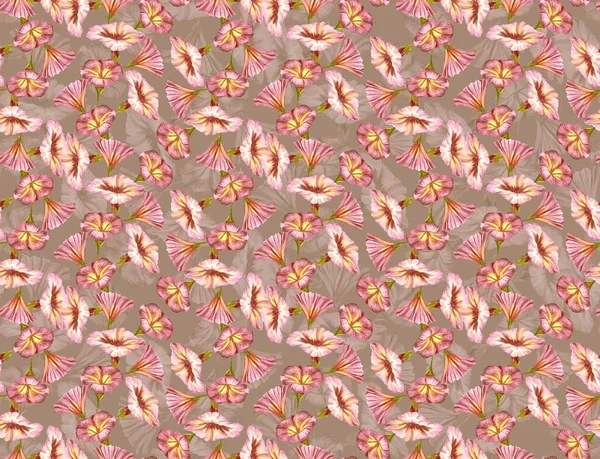 Örtbaserade Sömlösa Mönster Med Målade Blommor Rosa Loach Digital Konst — Stockfoto