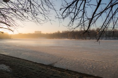 Kış göl ve ağaç sabah