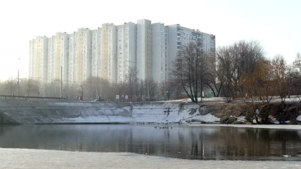 Bâtiment urbain sur fond d'étang . — Video