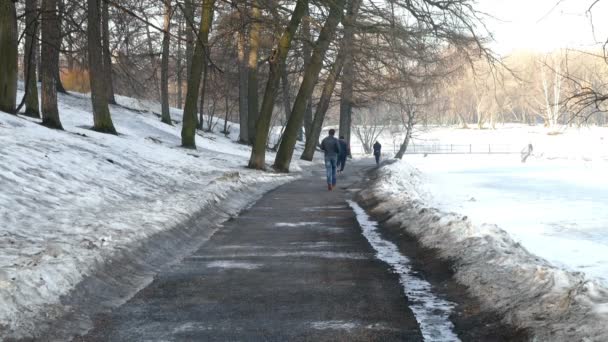 Homem Jogging Spring Park . — Vídeo de Stock