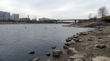 Kasaba evleri nehrin arka plan üzerinde.