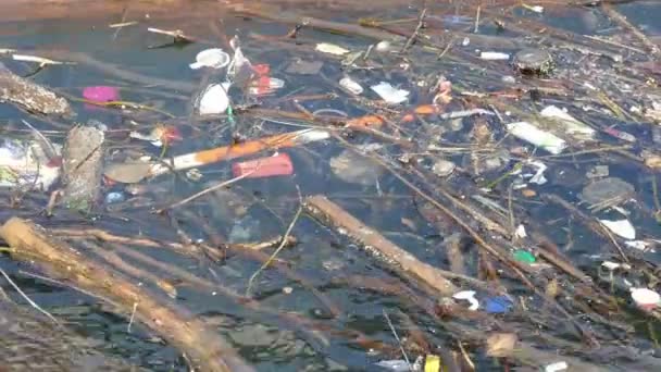 Basura en el río — Vídeos de Stock