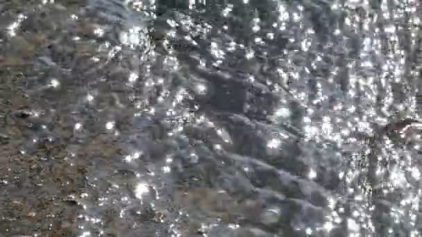 Brook sur l'asphalte dans le parc au printemps . — Video