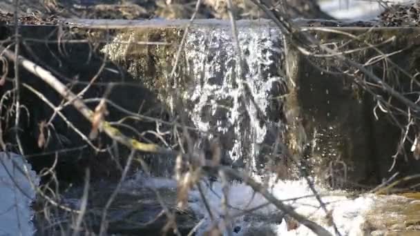 Водопад весной в парке . — стоковое видео