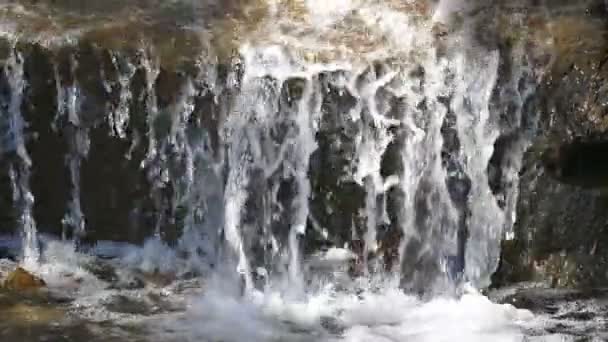 Waterval in de lente in het Park. — Stockvideo