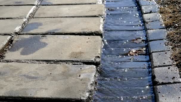 Brook dans la rue au printemps sur une ville . — Video