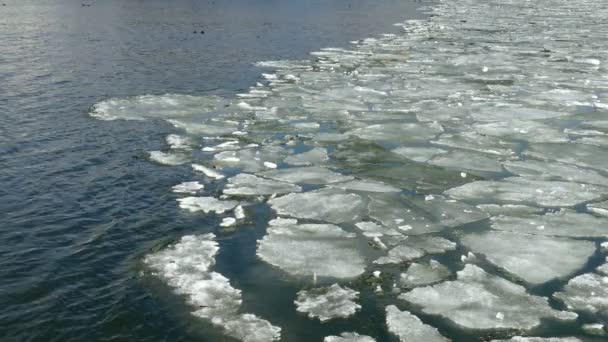 Танення льоду на озері весни. — стокове відео