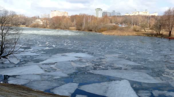 Tání ledu na jezeře jaro. — Stock video