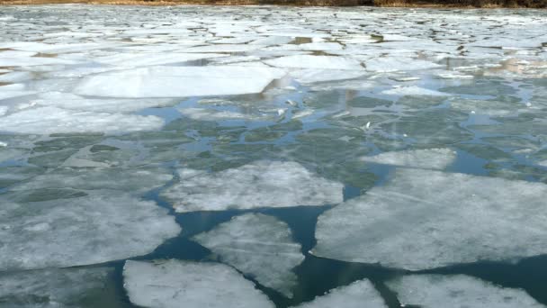 Таяние льда на весеннем озере . — стоковое видео