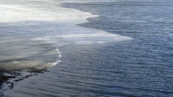 Derretimiento de hielo en el lago de primavera . — Vídeo de stock