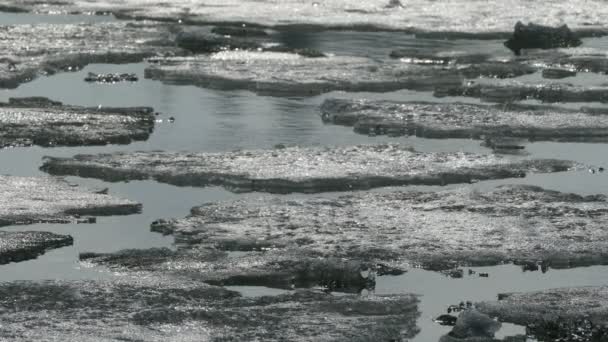 Fonte de la glace sur le lac printanier — Video