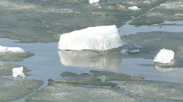 Fonte de la glace sur le lac printanier . — Video