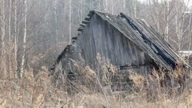 Bahar köyde eski evde.