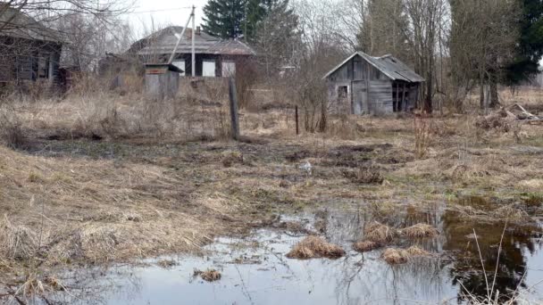 Old Flooded in the Spring of Houses . — Stock Video