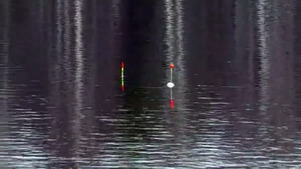 Floats For Fishing Rod in the Water . — Stock Video