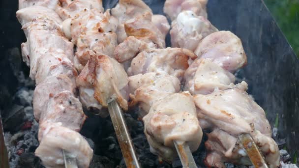 Shish kebab en pinchos asados en las brasas — Vídeos de Stock