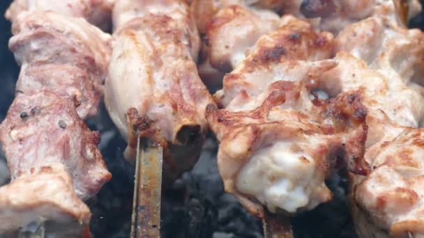 Shish kebab en pinchos asados en las brasas . — Vídeo de stock