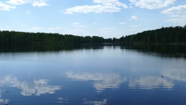 Lake lesa na jaře — Stock video