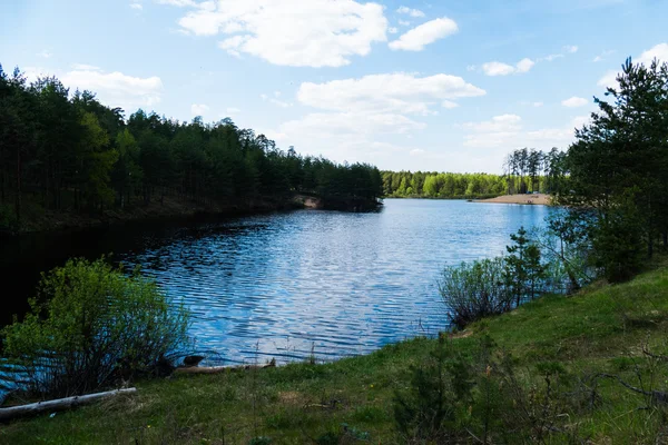 Forest lake in the spring — Stock Photo, Image