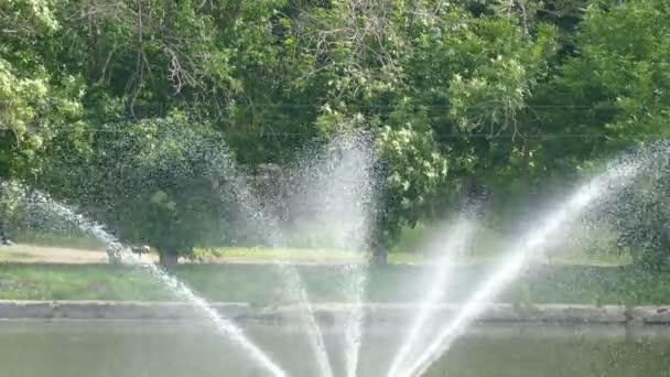 Wasserfontäne beim morgendlichen Joggen im Park — Stockvideo