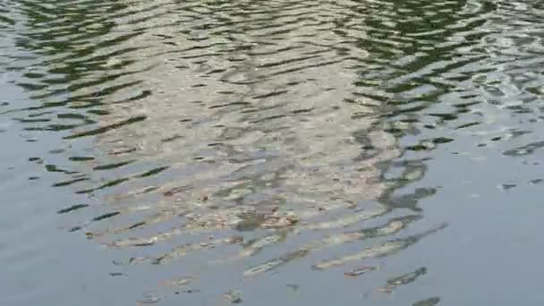 Réflexion des bâtiments dans l'eau 