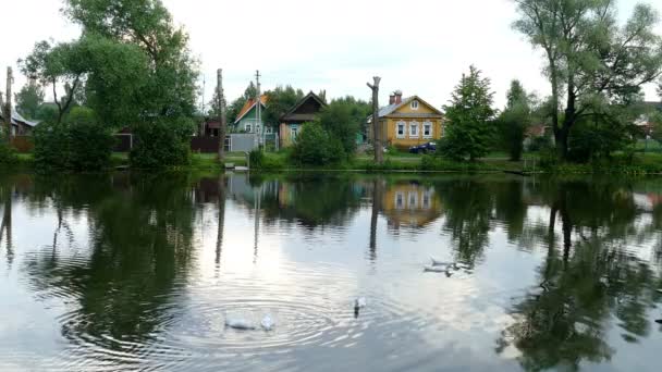 A Pond With Geese and Village Houses — Stock Video