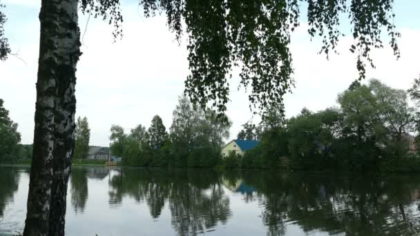 Birch in the Russian Village Pond — Stock Video