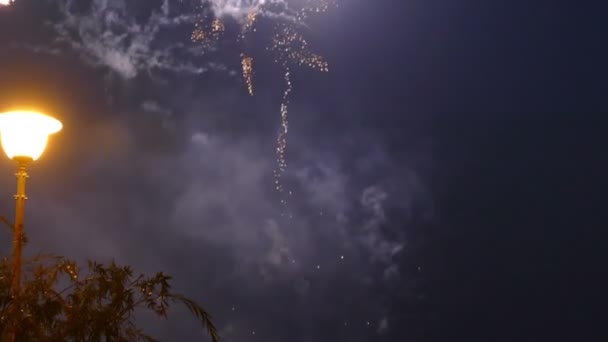 Feuerwerk in der Moskauer Welt, Lichter — Stockvideo