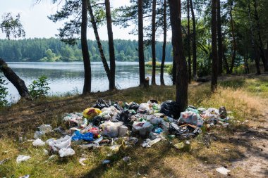 Göl kenarında ormanın içinde çöp