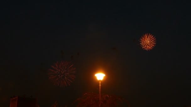 Fuochi d'artificio a Mosca su uno sfondo — Video Stock