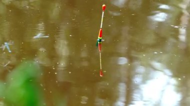 Su ve yusufçuk float Balık tutma