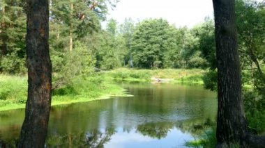 Yaz Rusya ormandaki nehir.