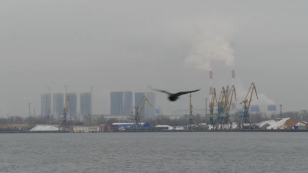 Říční přístav na řece Moskvě — Stock video