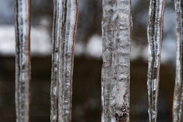 Chupando na rua no inverno frio — Fotografia de Stock