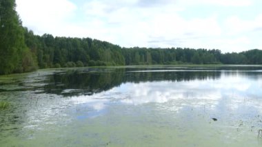 Açık havada göl ormanı yazı