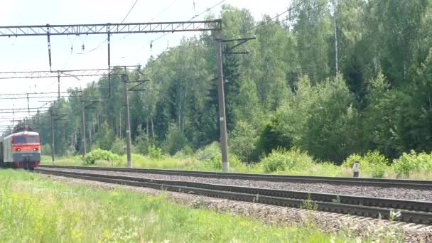 Tráfico de trenes con tanques en verano — Vídeos de Stock