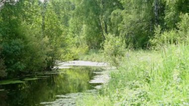 Açık havada göl ormanı yazı