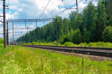 Demiryolunun yanındaki yeşil çimen ve çiçek tarlası.