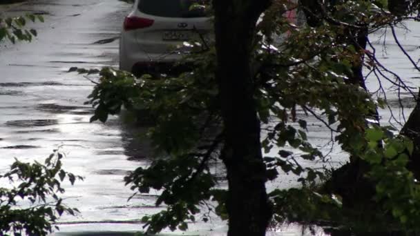 Pioggia e foglie con scorci di sole sulla strada e auto — Video Stock