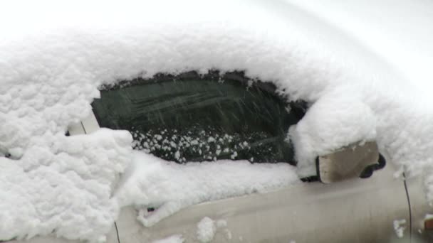 Coches de nieve y puerta — Vídeo de stock