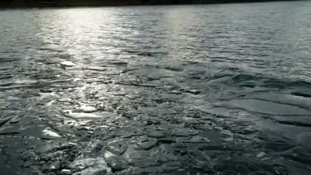 Hielo y agua en un estanque en diciembre — Vídeo de stock