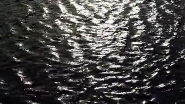 Вода в пруду и солнечная вспышка — стоковое видео