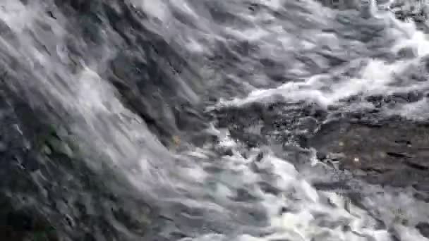 O fluxo de água no inverno — Vídeo de Stock