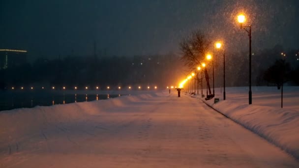 Floden och lätt snöfall — Stockvideo