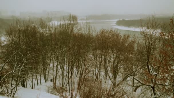 Schnee Fluss und Bäume — Stockvideo