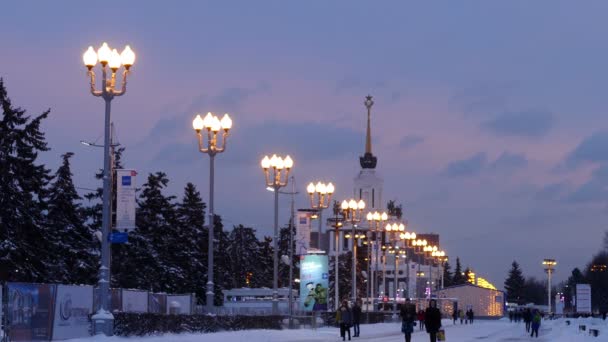 Abendliche Weihnachtsbeleuchtung in Moskau — Stockvideo