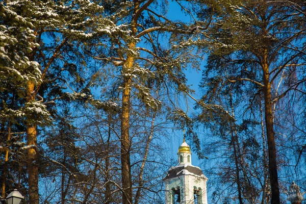 Trees in the forest and the church — Stock Photo, Image