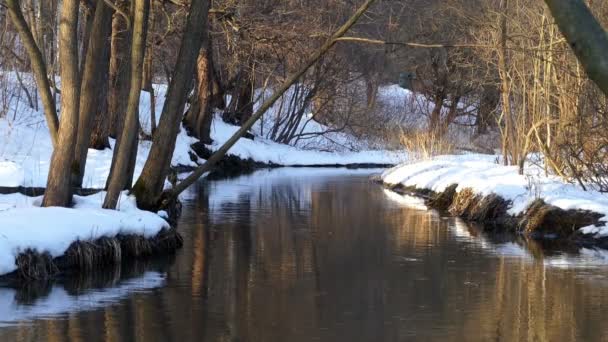 Een kleine rivier in de winter . — Stockvideo