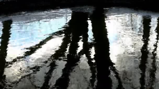 Fa tükörképét a folyó — Stock videók
